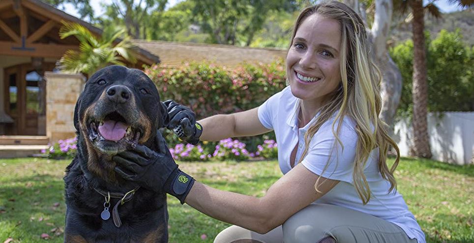 Pet Grooming Gloves